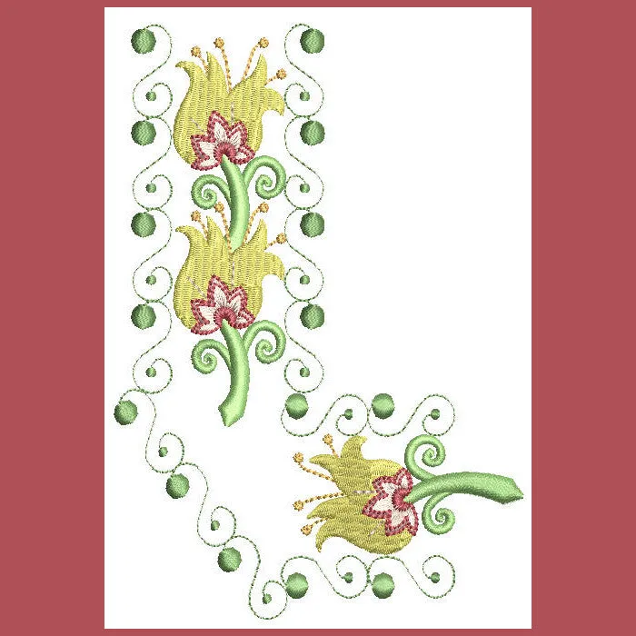 Borders Visions Combo 01