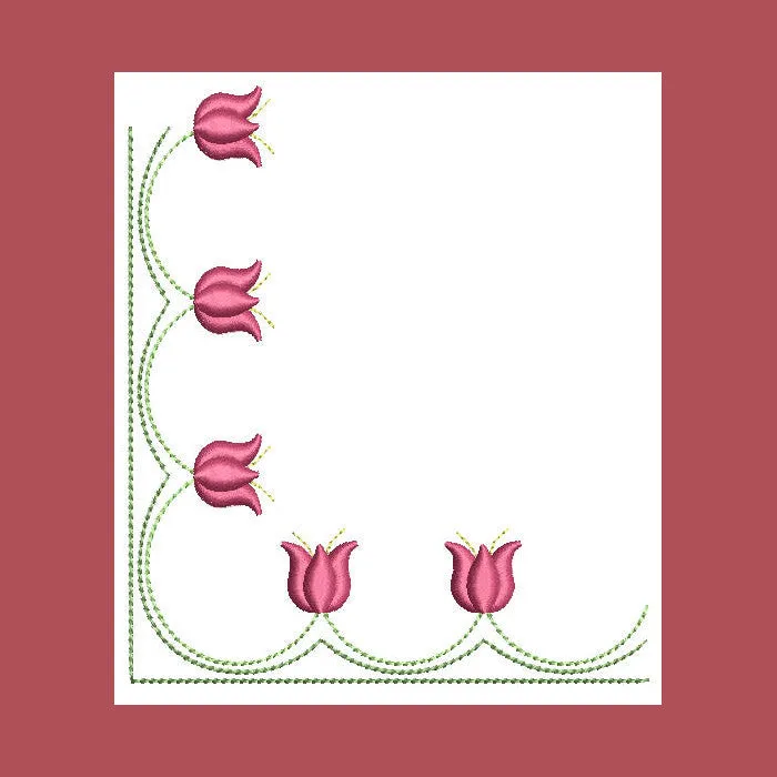 Borders Visions Combo 01