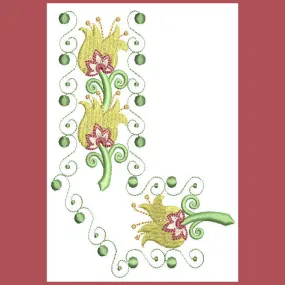 Borders Visions Combo 01