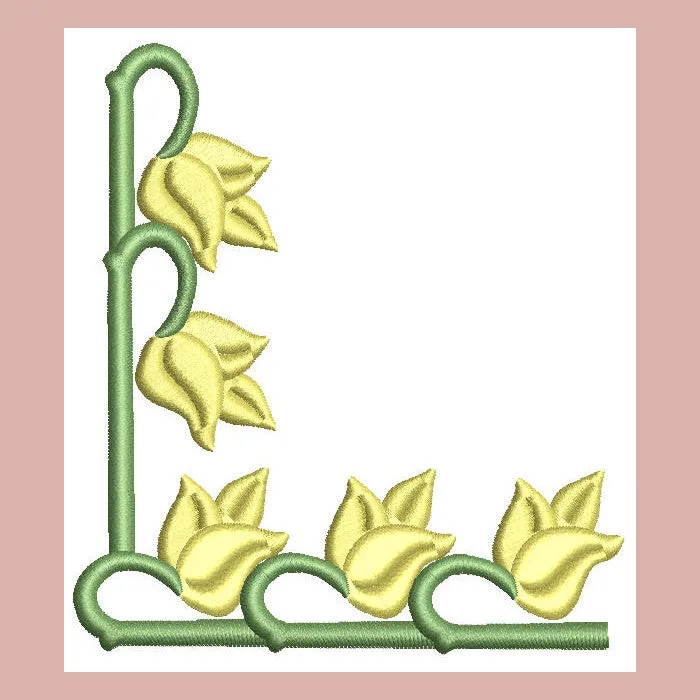 Borders Visions Combo 02
