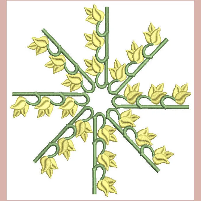 Borders Visions Combo 02