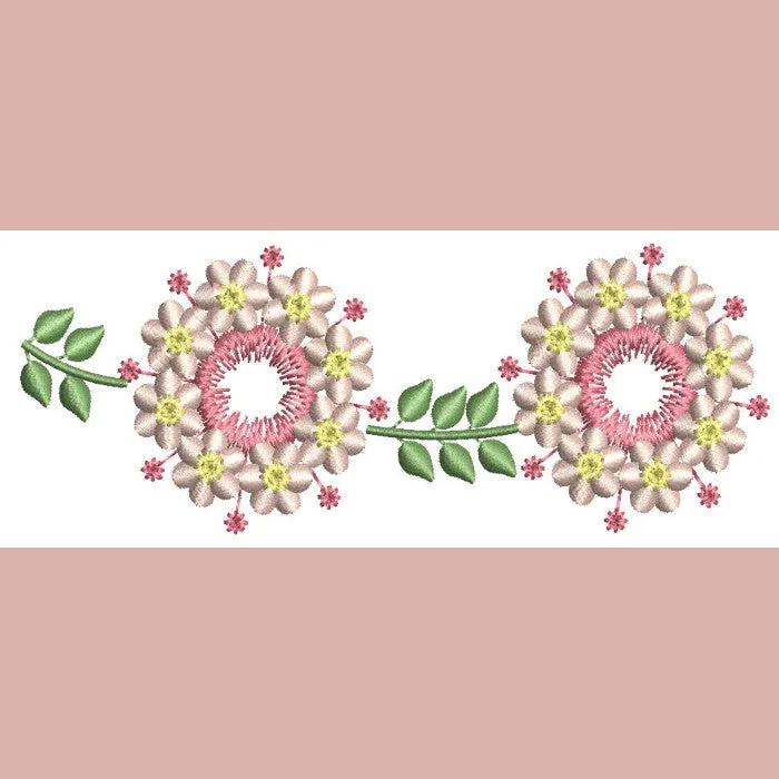 Borders Visions Combo 02