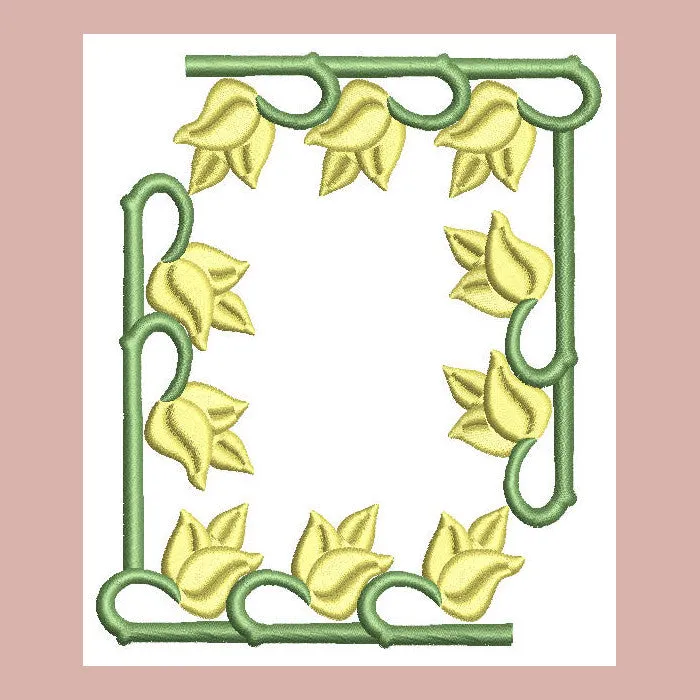 Borders Visions Combo 02