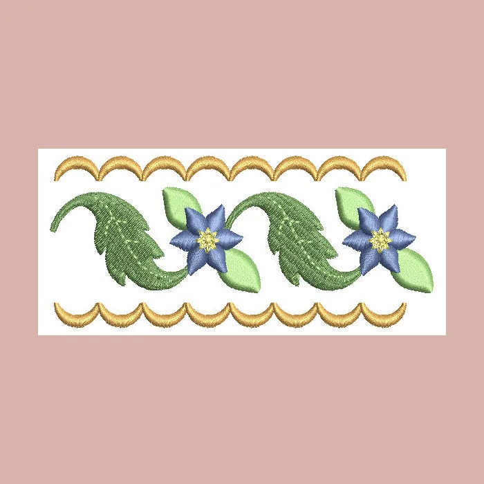 Borders Visions Combo 02