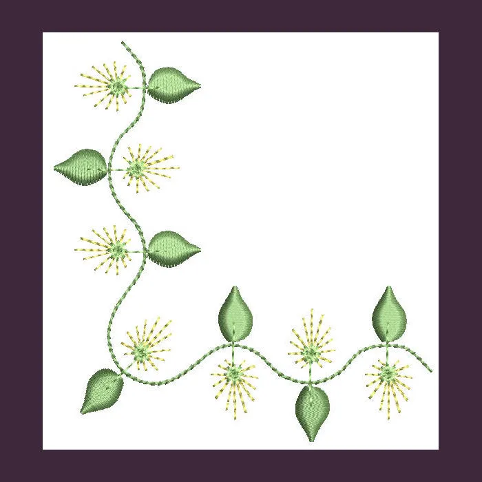 Borders Visions Combo 03