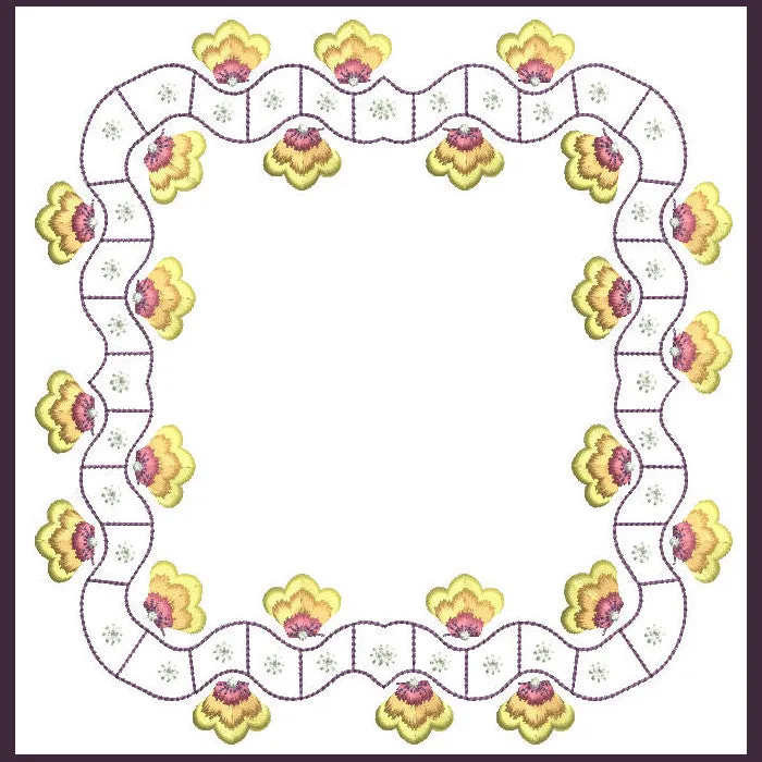 Borders Visions Combo 03