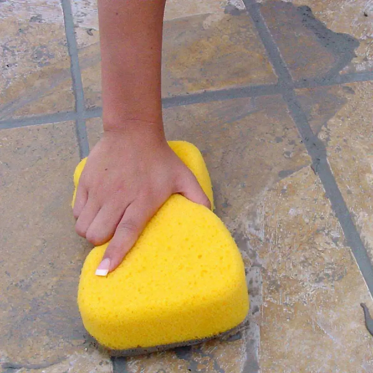 CD Products XL Sponges for Cleaning Grout