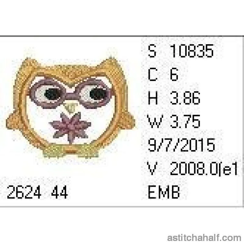 Daisy Owl