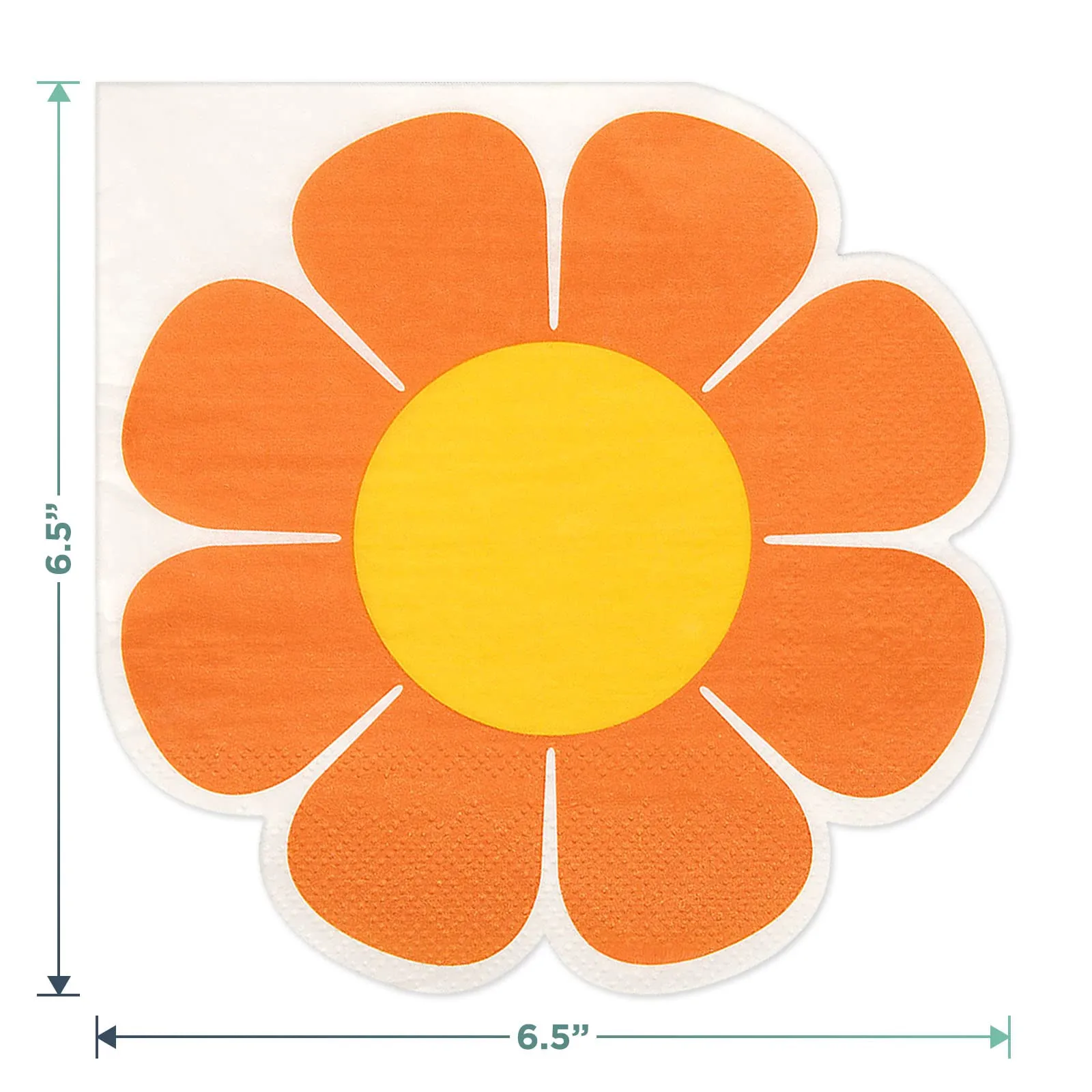 Groovy 70's Party Vibes Paper Dinner Plates and Flower Power Lunch Napkins (Serves 16)